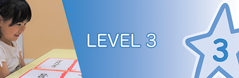 LEVEL 3