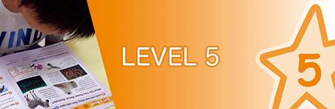LEVEL 5
